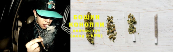 гидра Белоозёрский