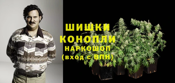 гидра Белоозёрский