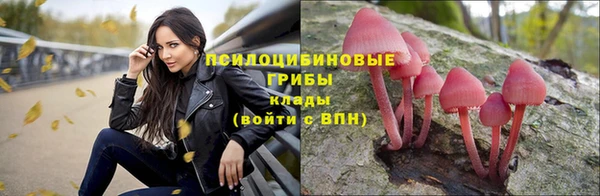 гидра Белоозёрский