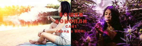 гидра Белоозёрский
