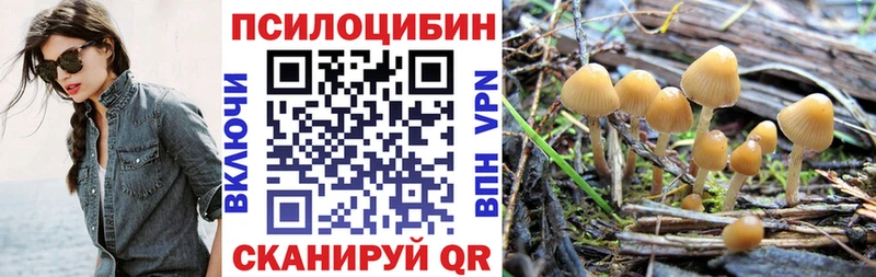Галлюциногенные грибы Cubensis  Новое Девяткино 